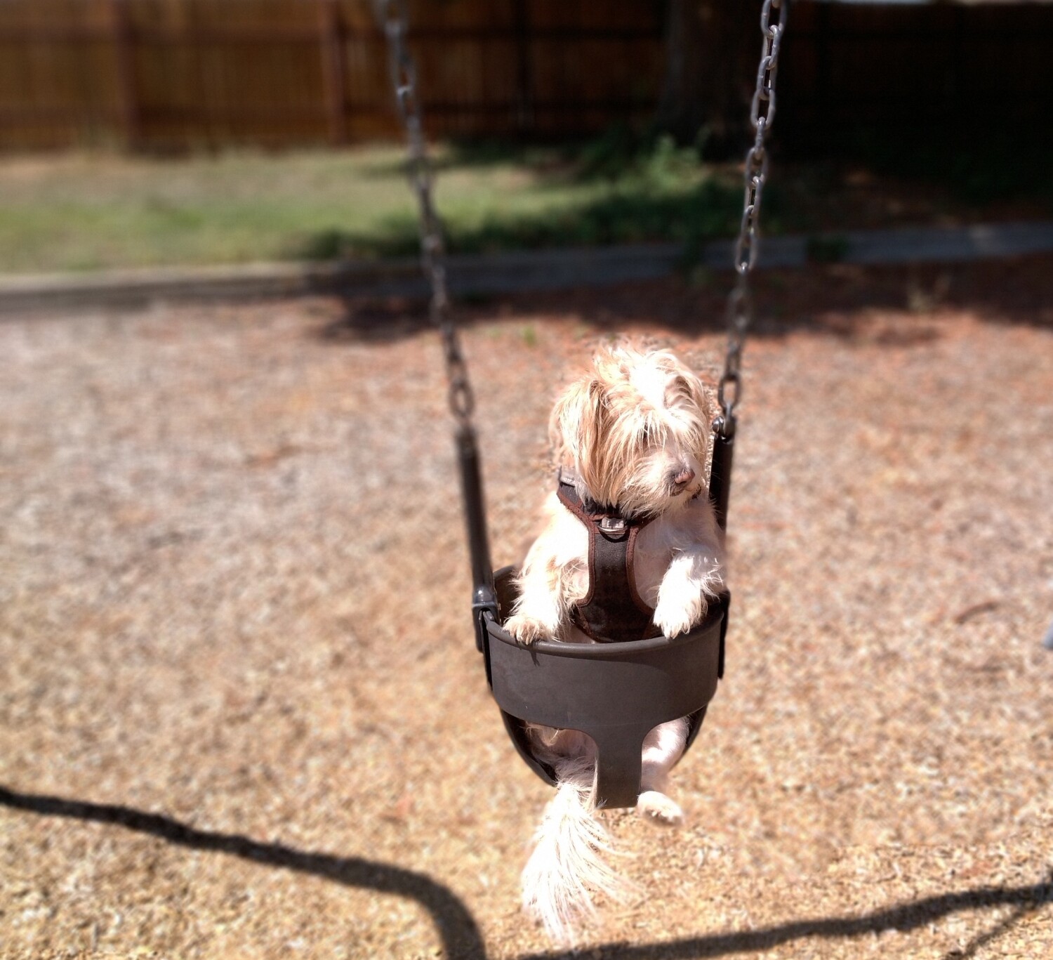 Simon going for a swing.