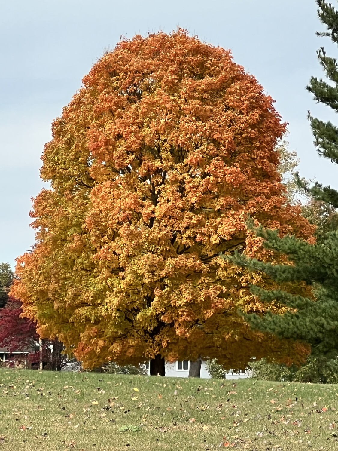 The Beauty of Autumn