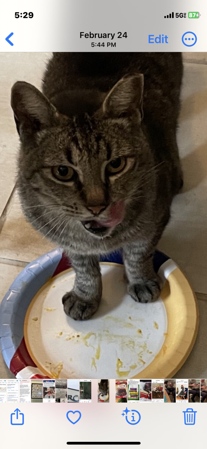 What’s for dessert?