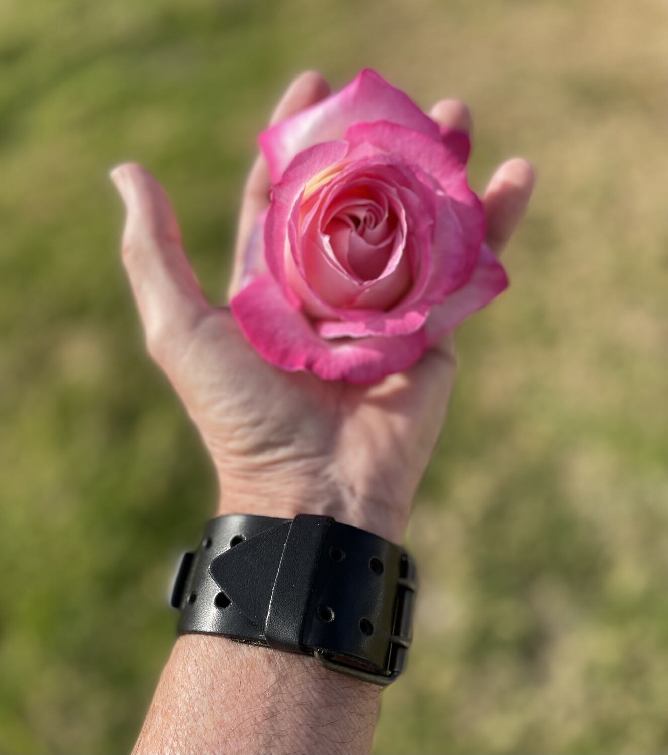 “ONE ROSE for YOU”