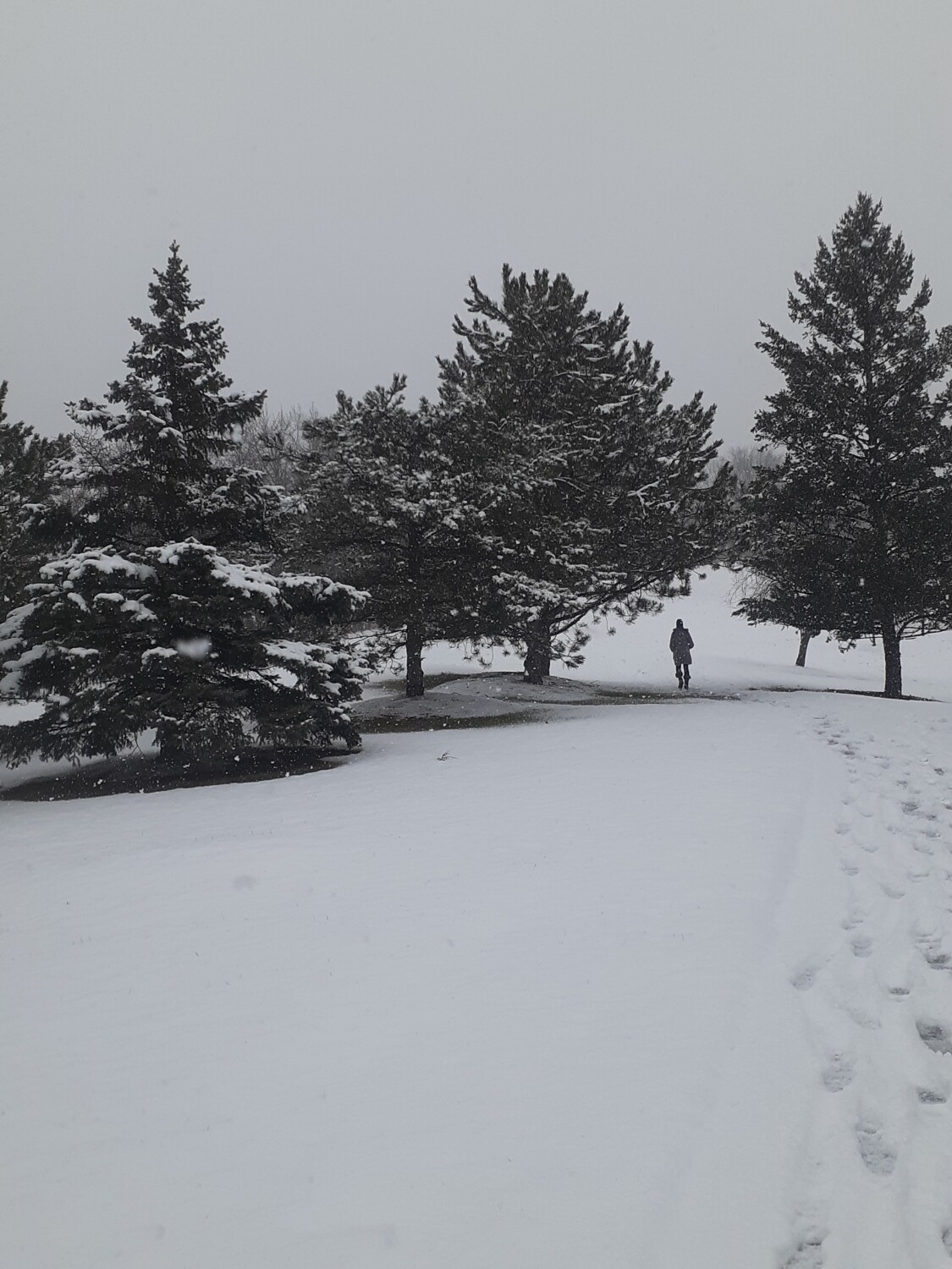 Tinley Park, Illinois