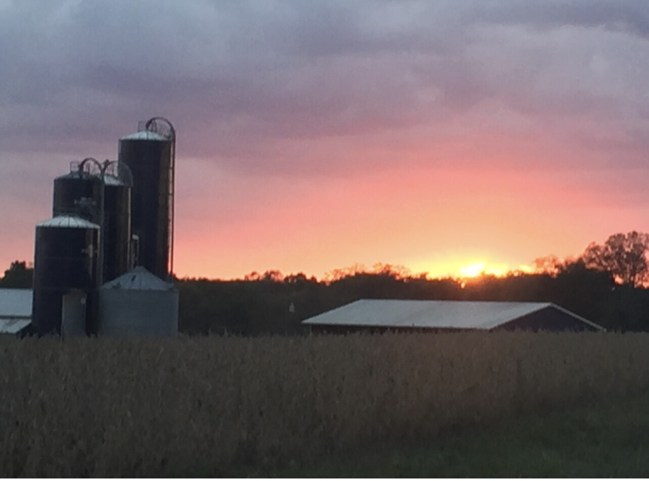 Farm sunset