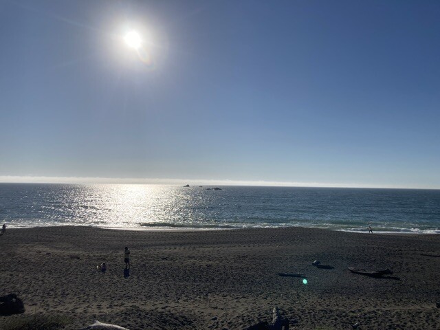 Bodega precious moments