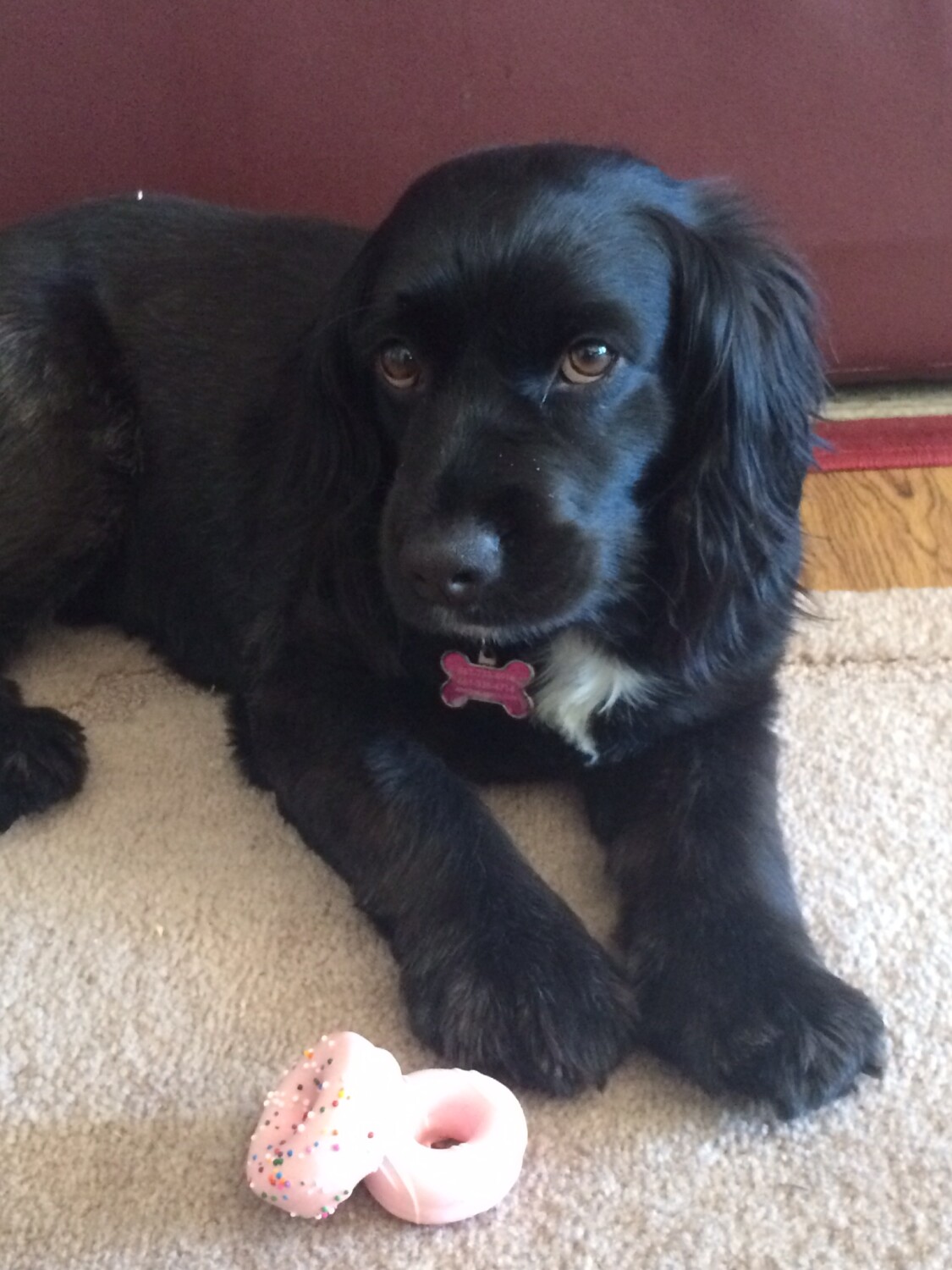 Donuts? You know I don’t like them!