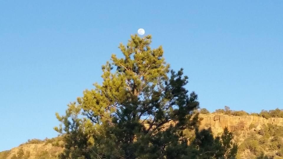 Mother Nature’s splendor!