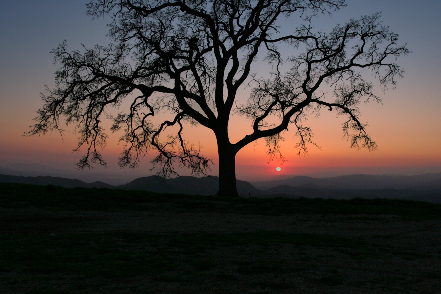 Chatsworth at Sundown