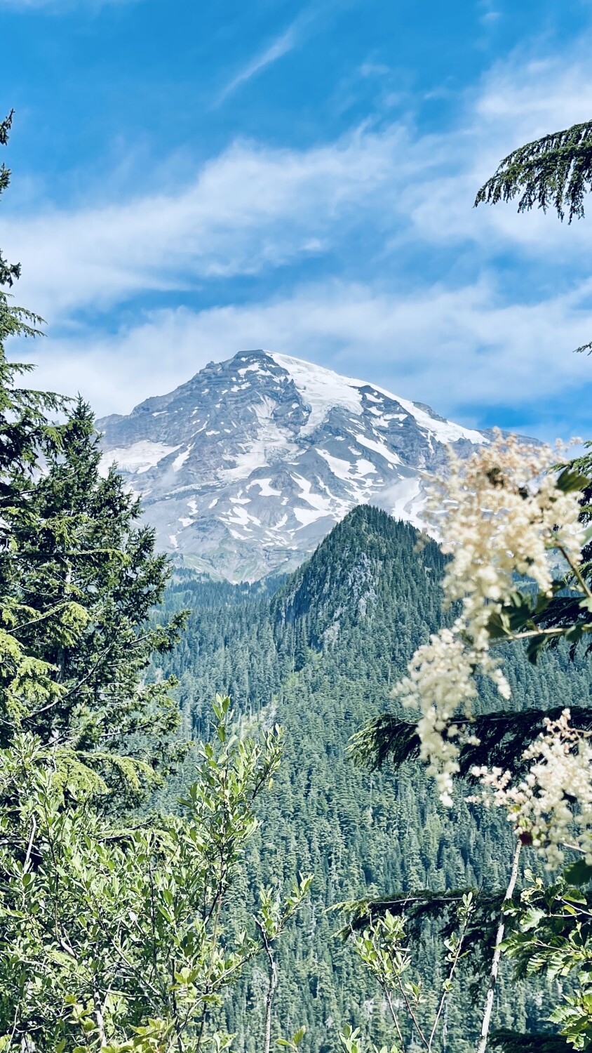 The beauty of Mt Rainier