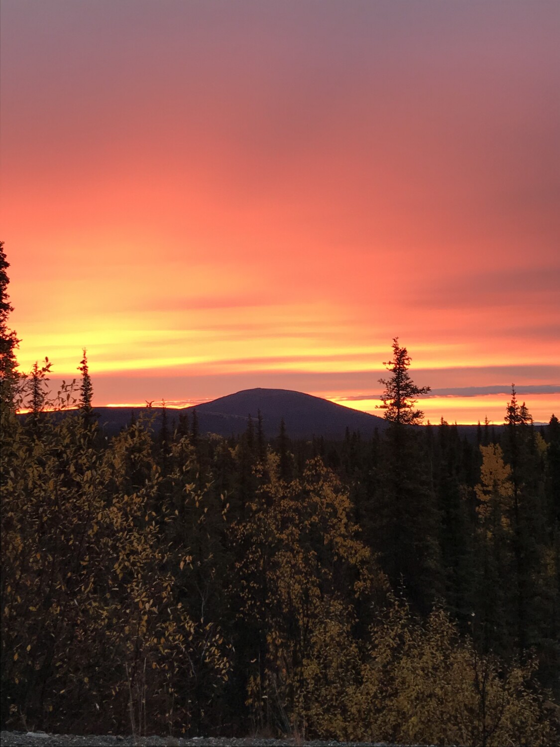 Hunting season in Alaska