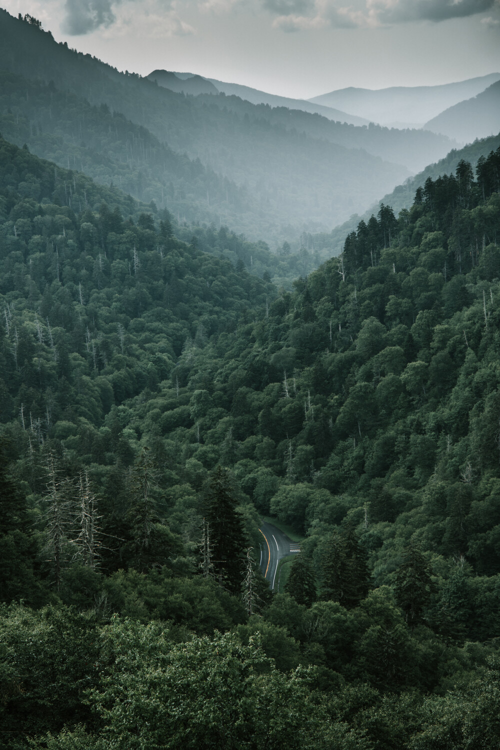 The Smokey mountains