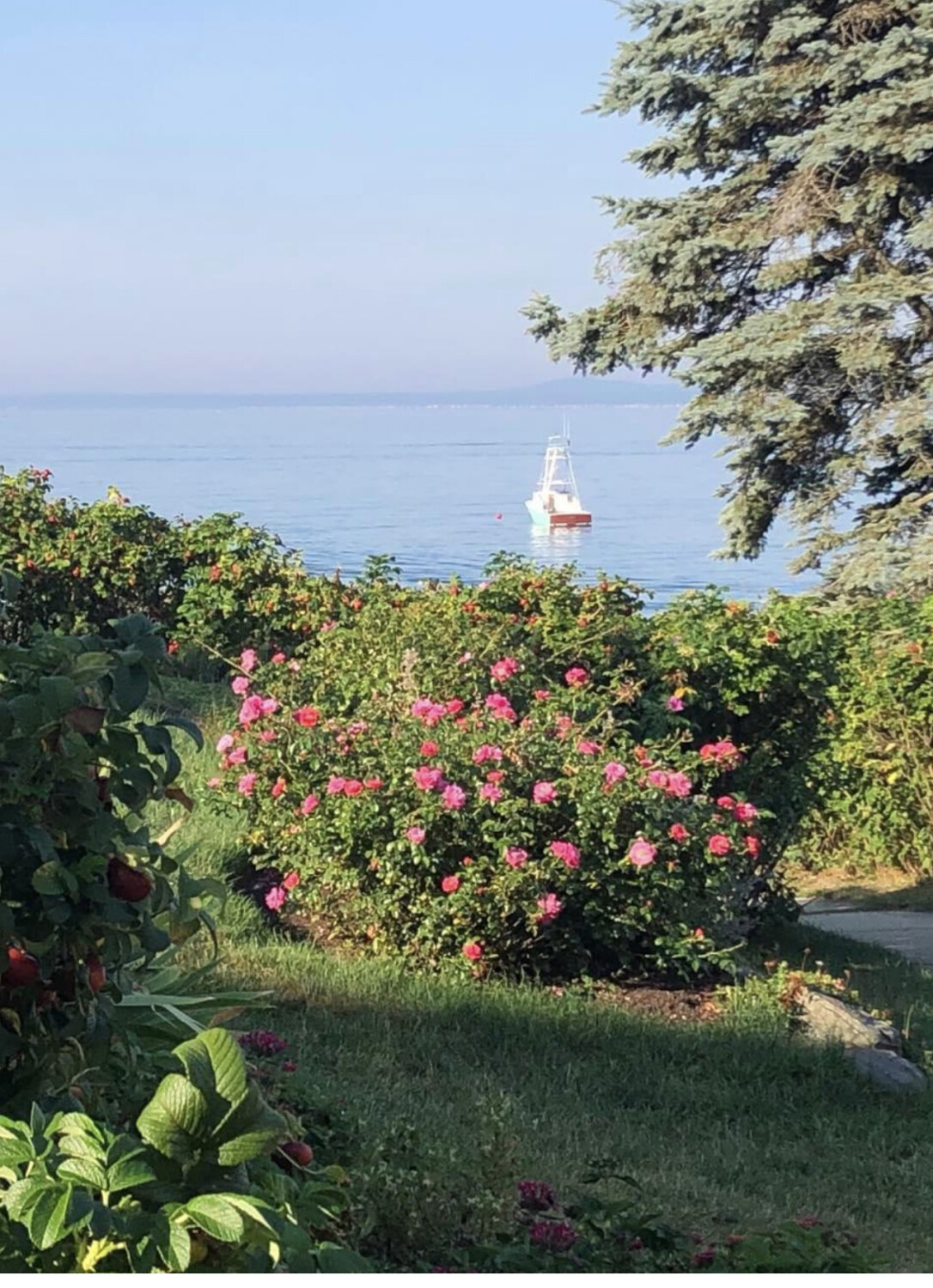 Serene day in kennebunkport Maine