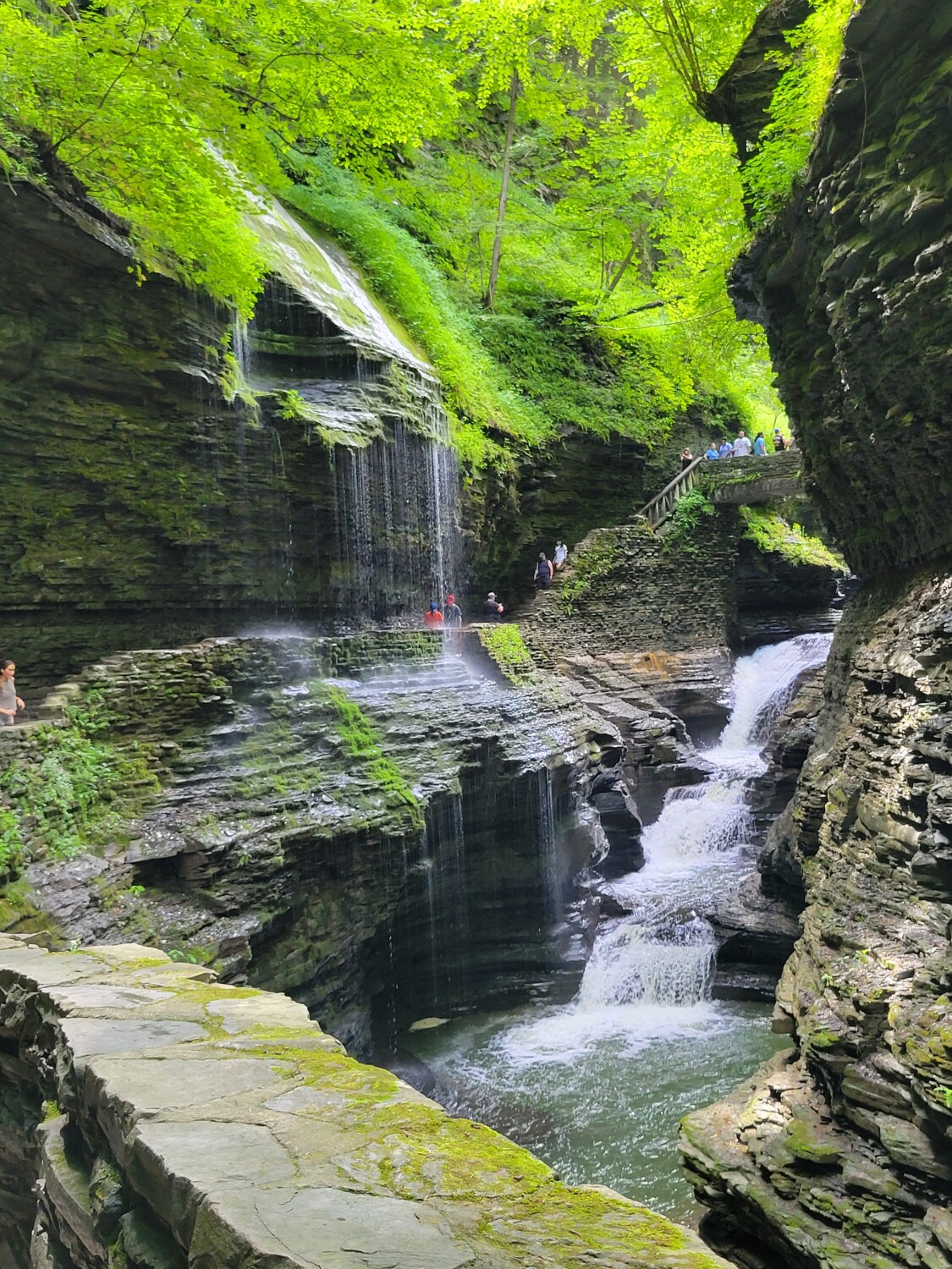 Watkins Glen