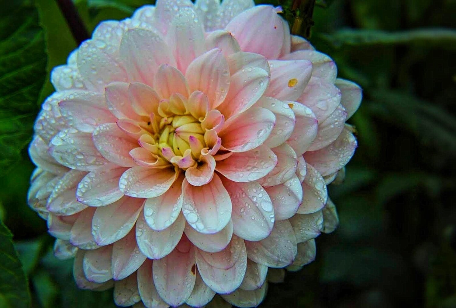 Beauty After The Storm