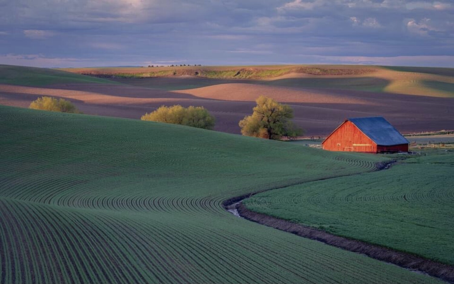 Palouse