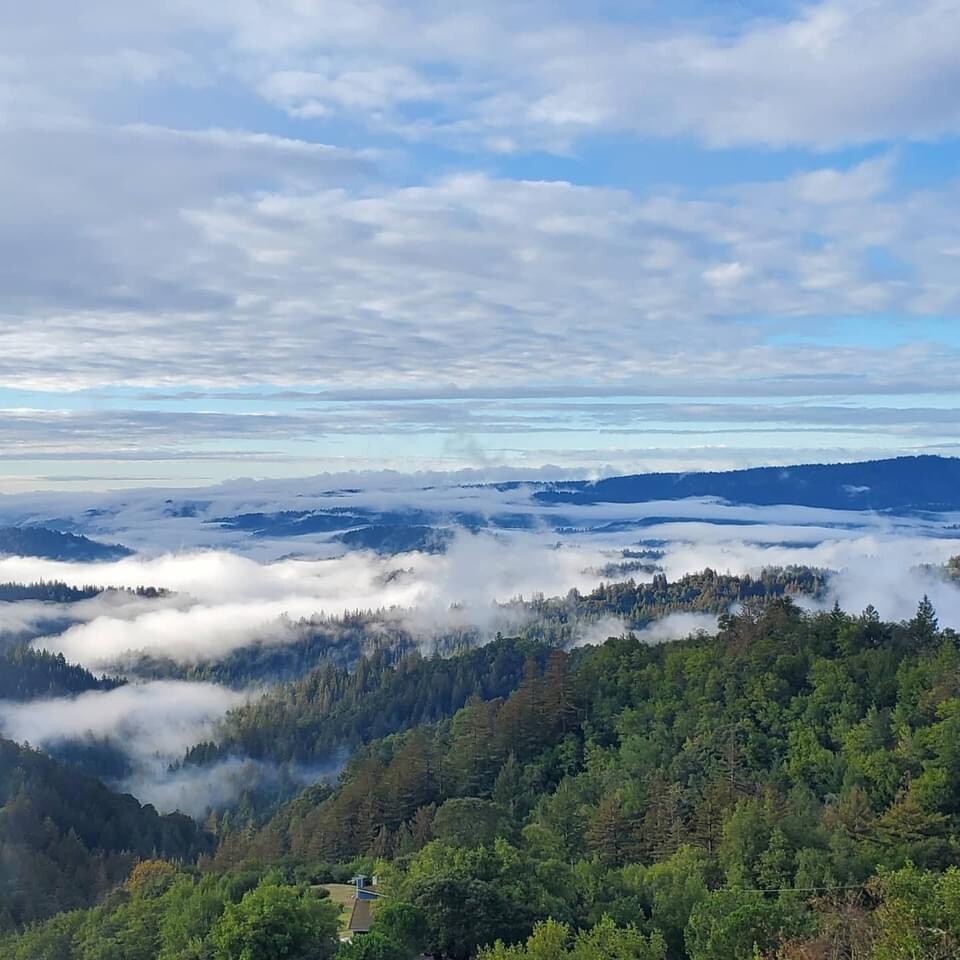 Santa Cruz mountains