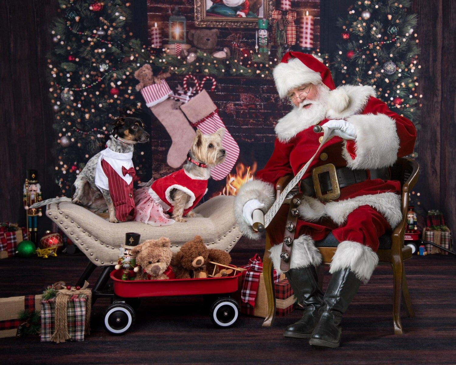 Kemal and Coco Christmas