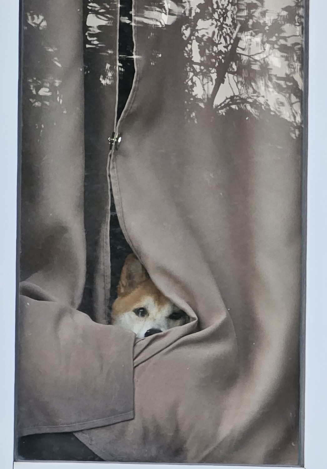 Rebel is always watching