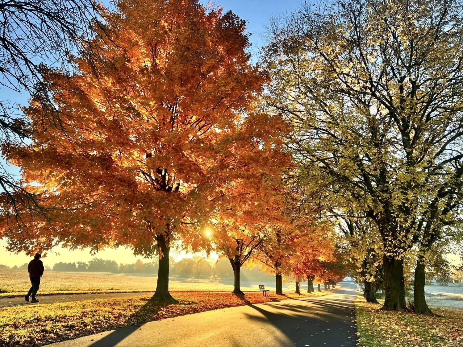 Fall in Norristown Farm Park