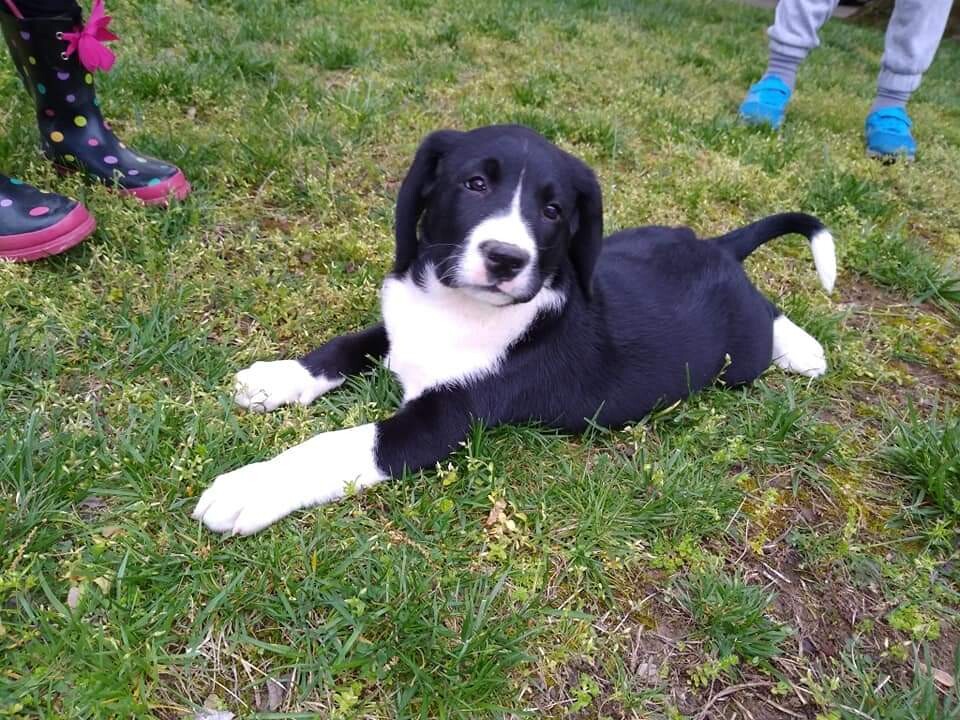 Pippy and the kids...