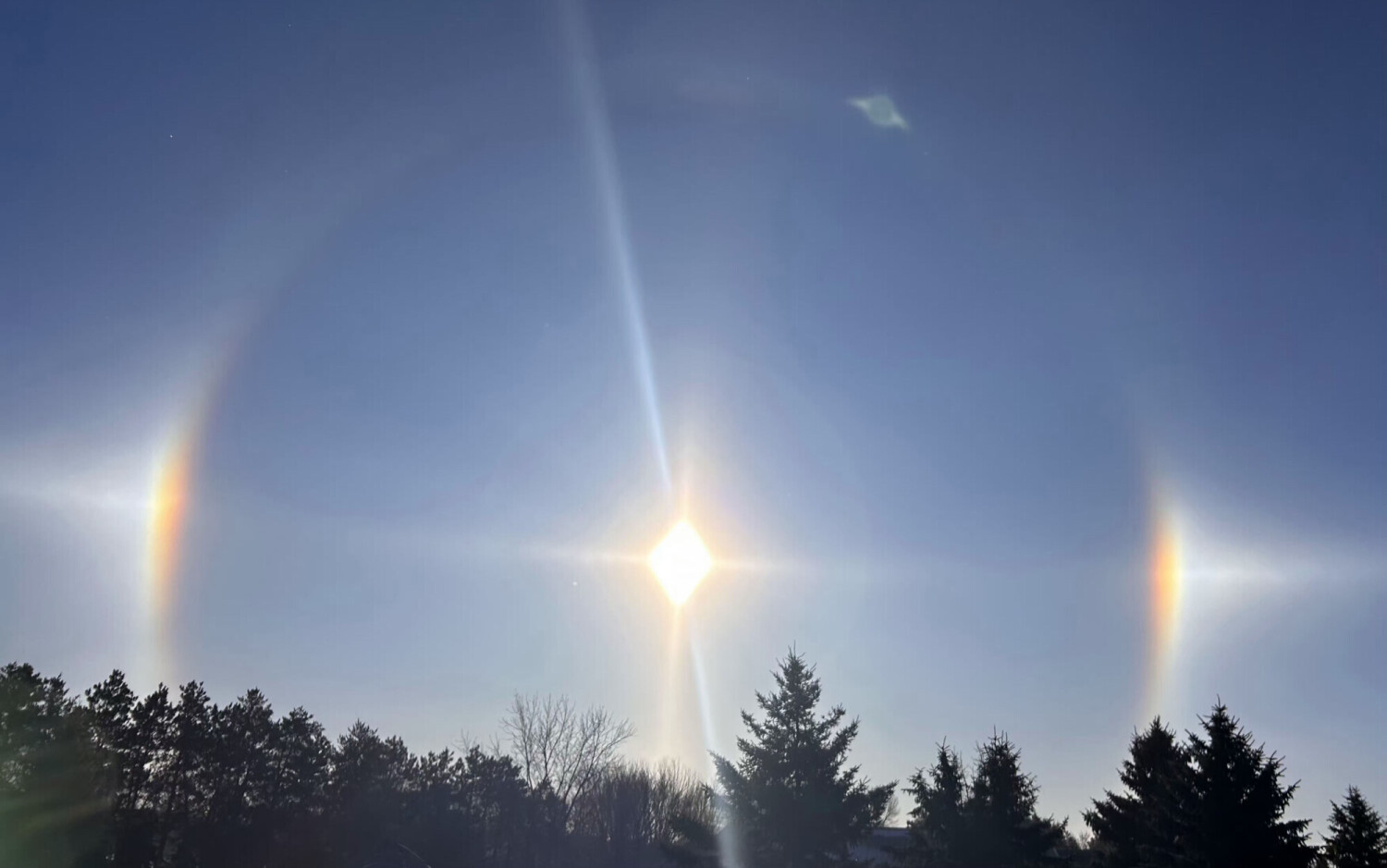 Who Let the Sun Dogs Out