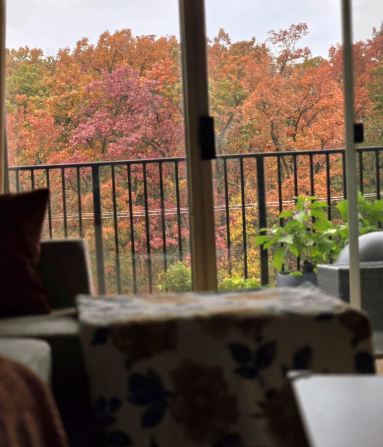 A Quiet Autumn Morning