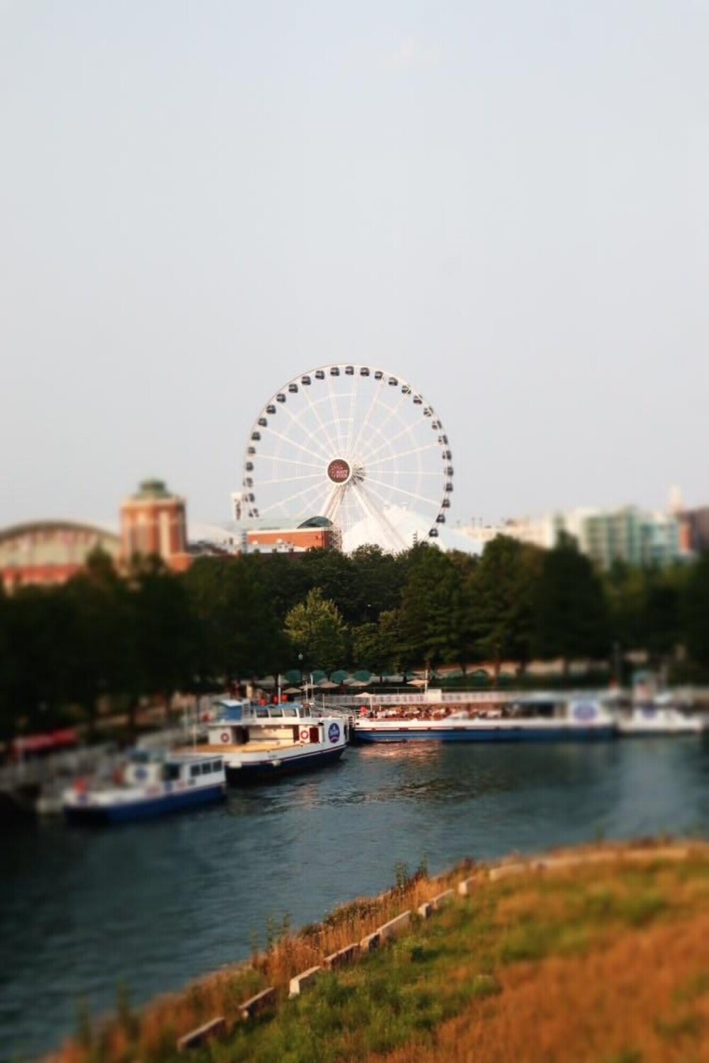 Navy Pier - A view of foreseeable excitement