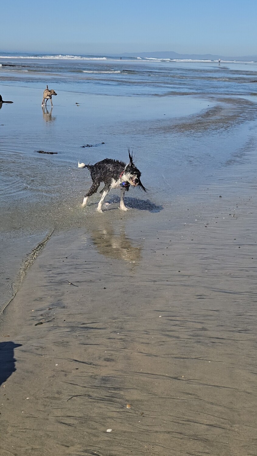 Franklin's happy place