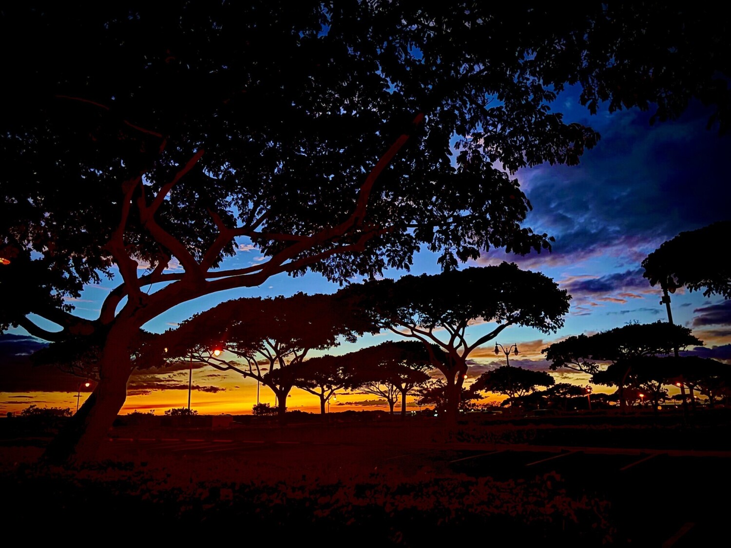 Last Sunset of The Year