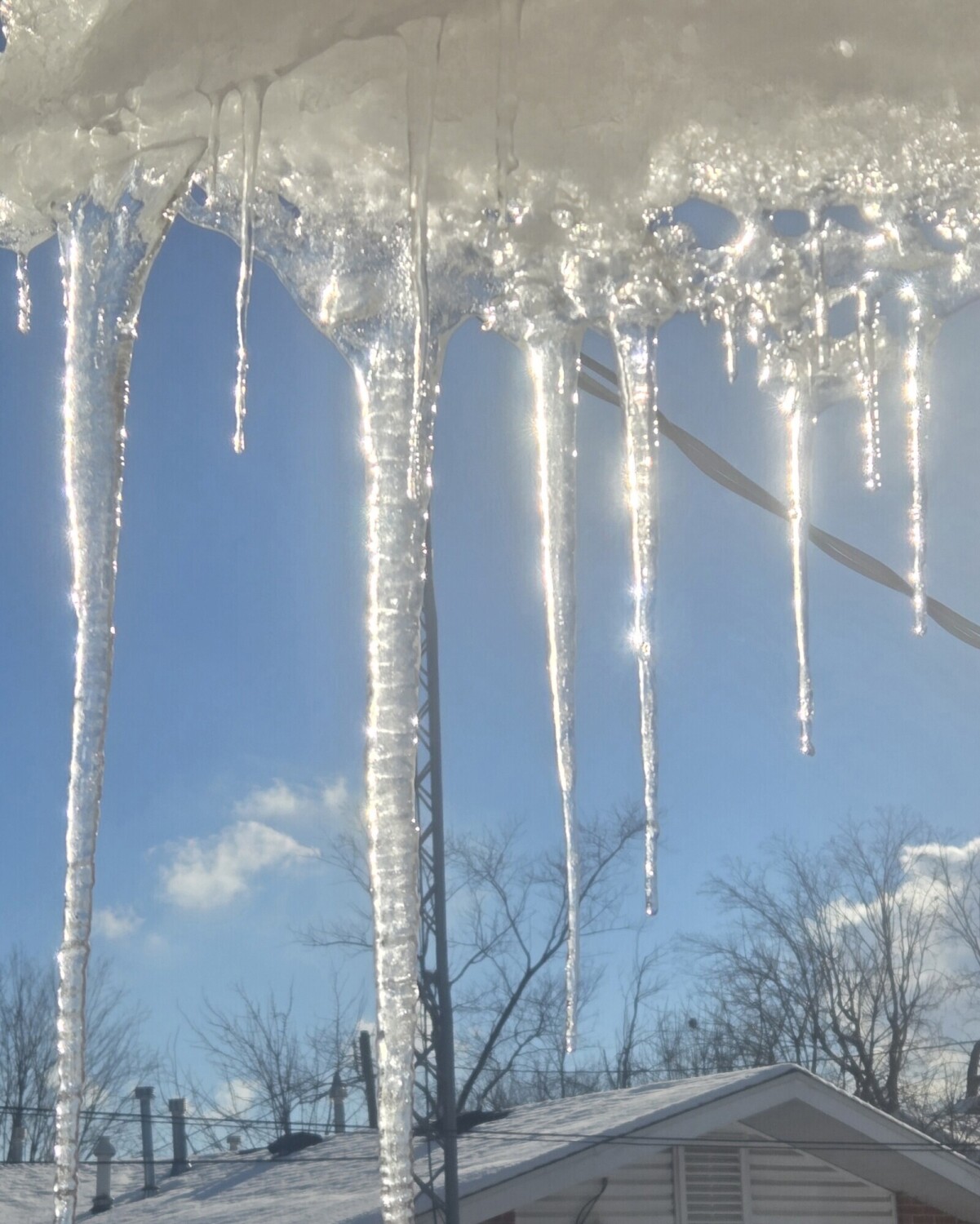 Sunbathing Icicles