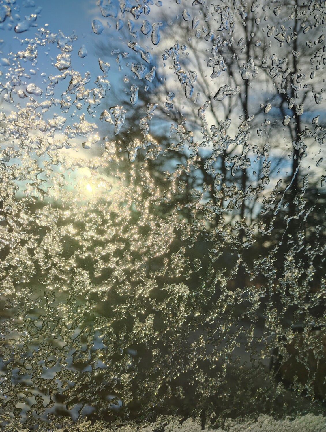 Icy Evening Sunshine