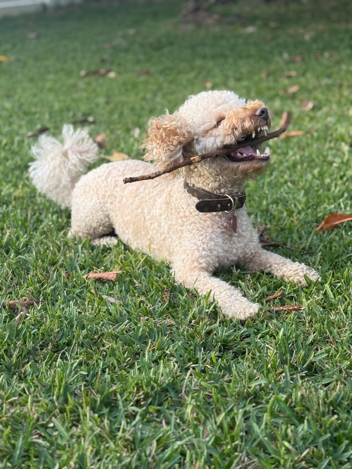 Branch Manager on Break