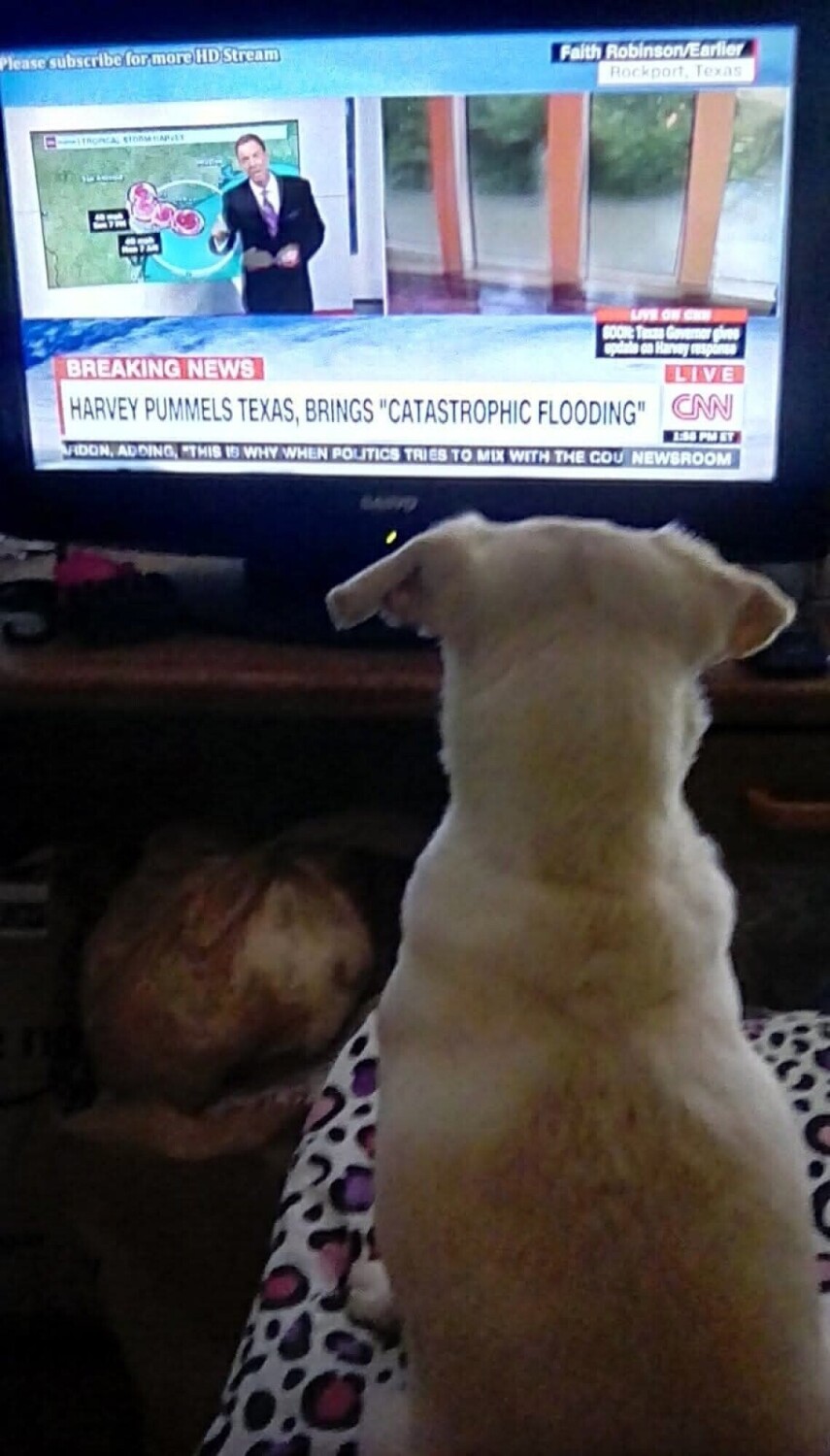Marilyn was my news hound