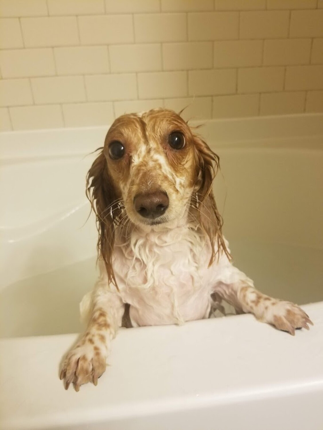 Bath time