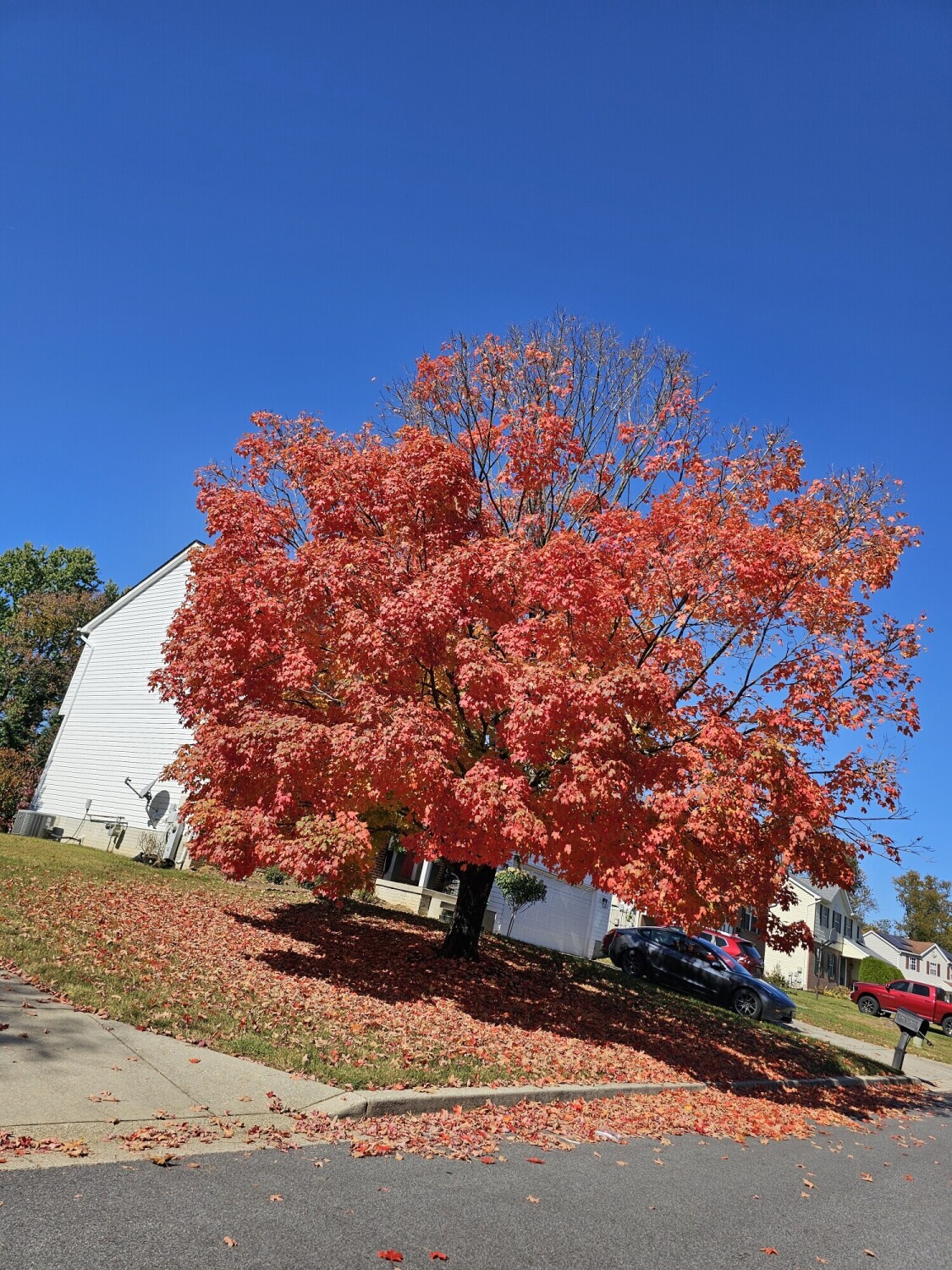 A Quiet Autumn Morning