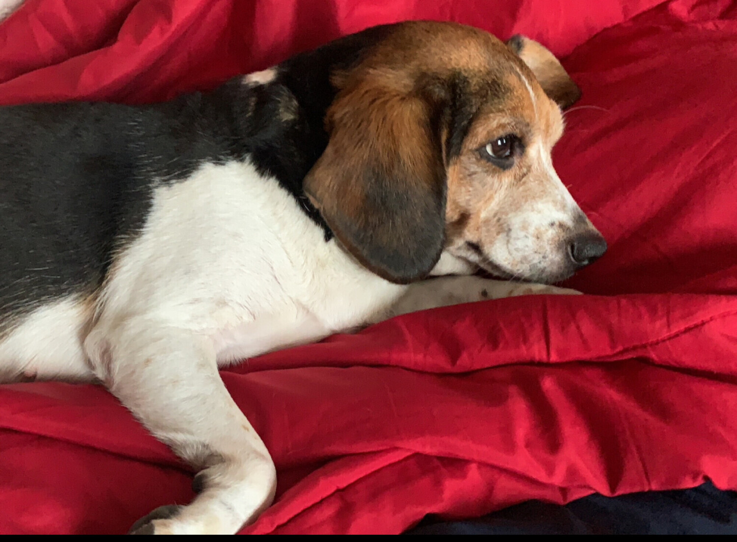 My Universe is resting)