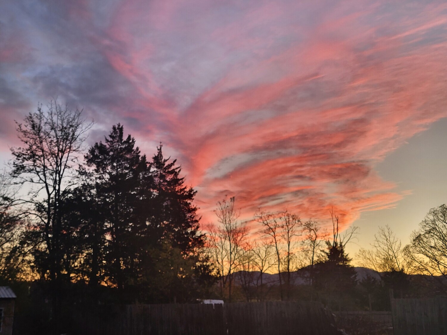 Backyard sunset
