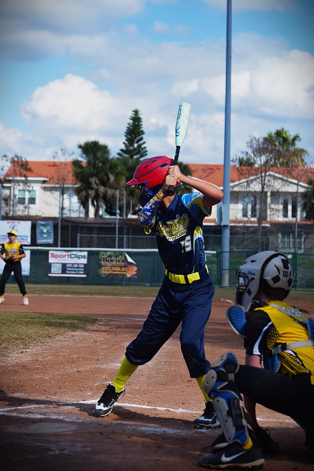 The love of the game