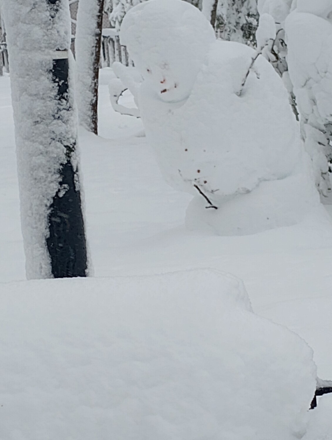 Senior snowman