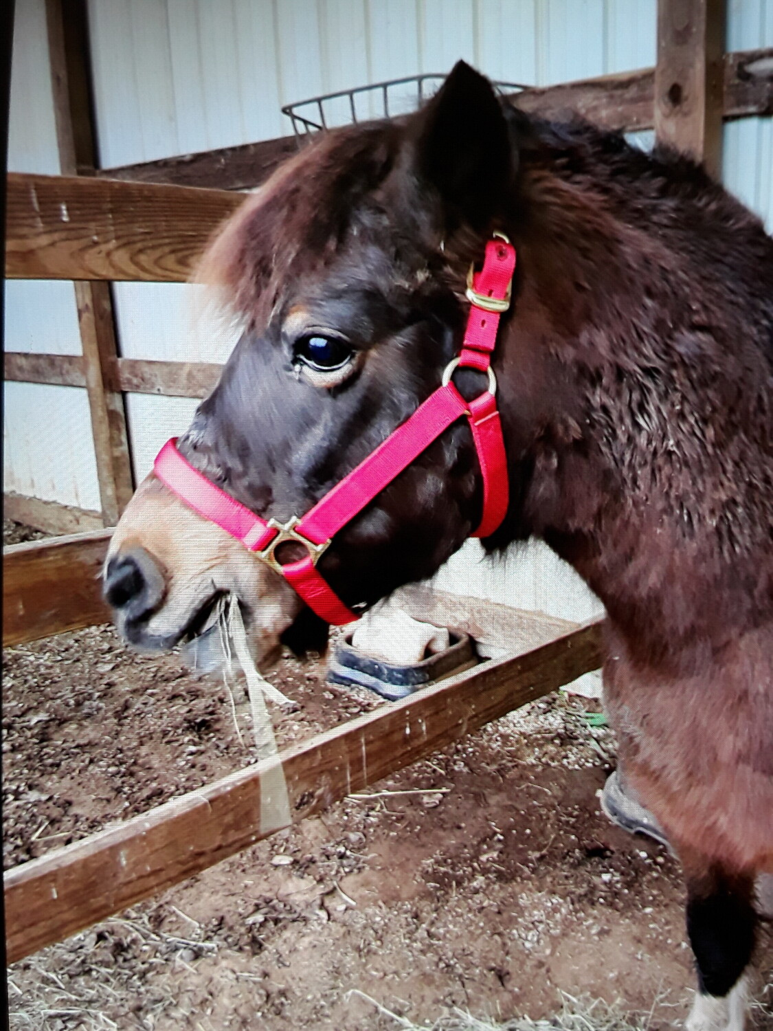 Dinner after a long day