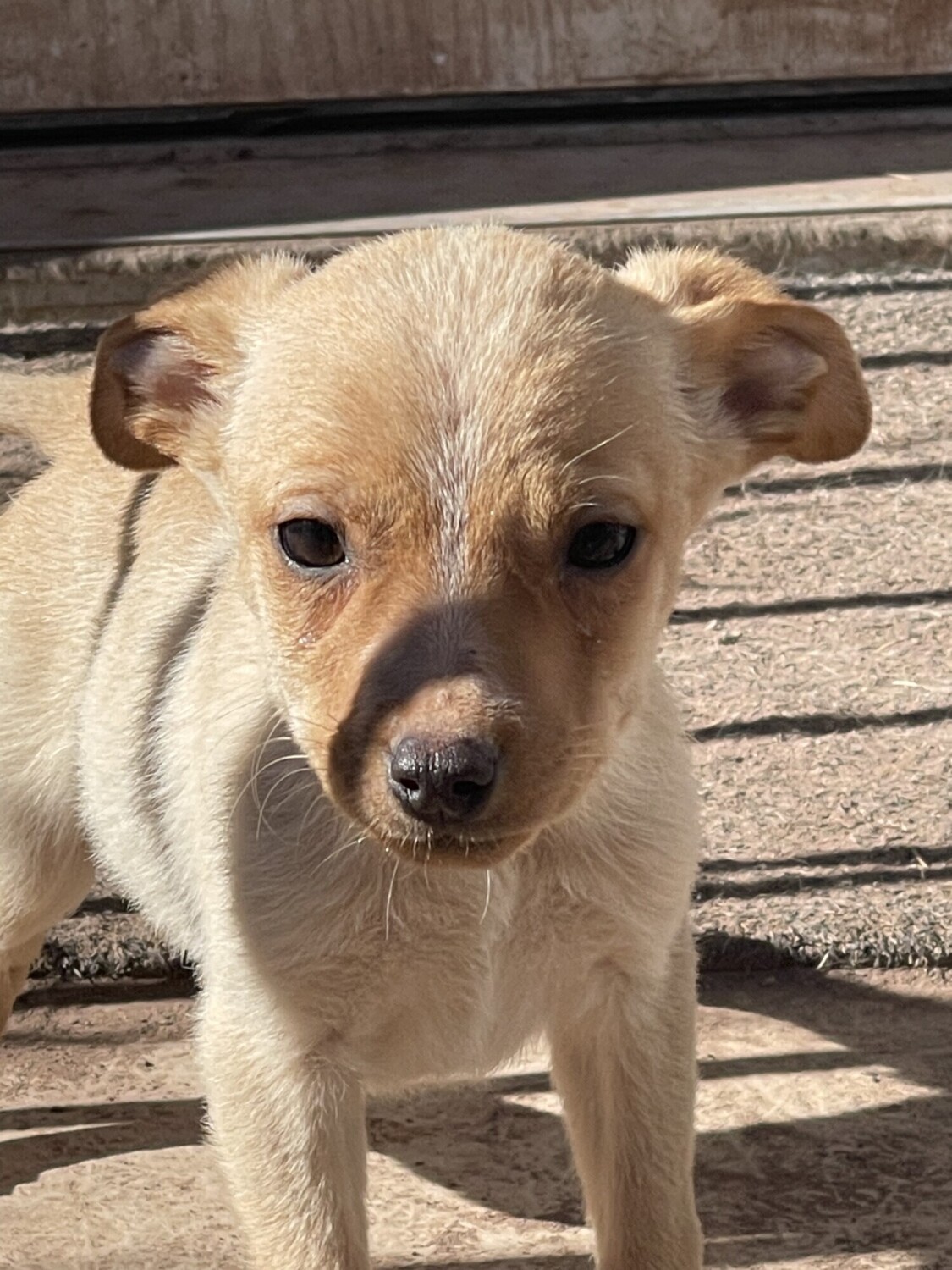 Small Baby