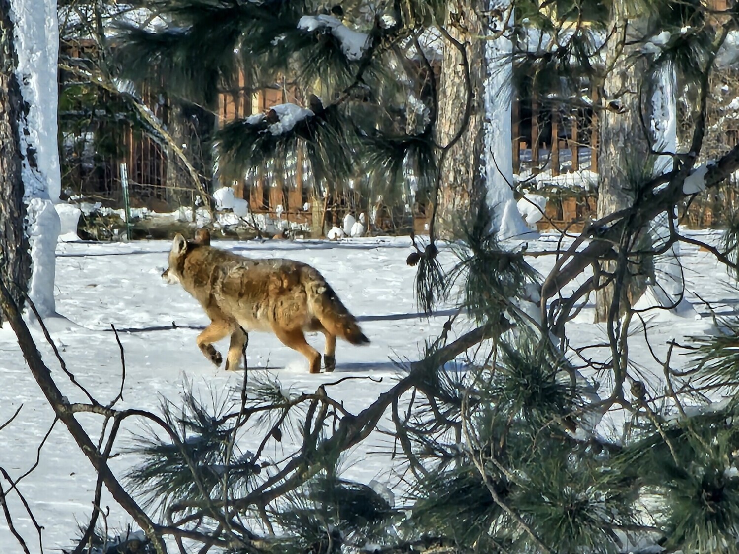 Just passing through