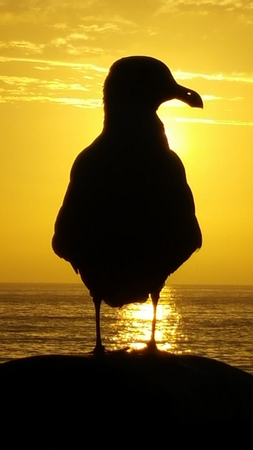 Resting at the end of a long day