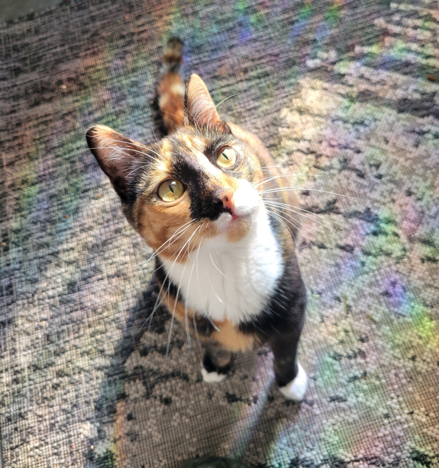 Pluto under a rainbow