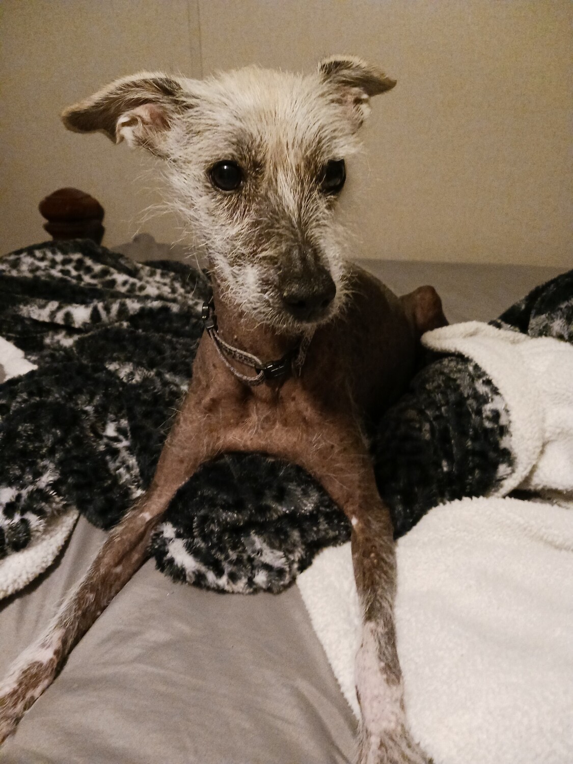 Lucky my best friend ever