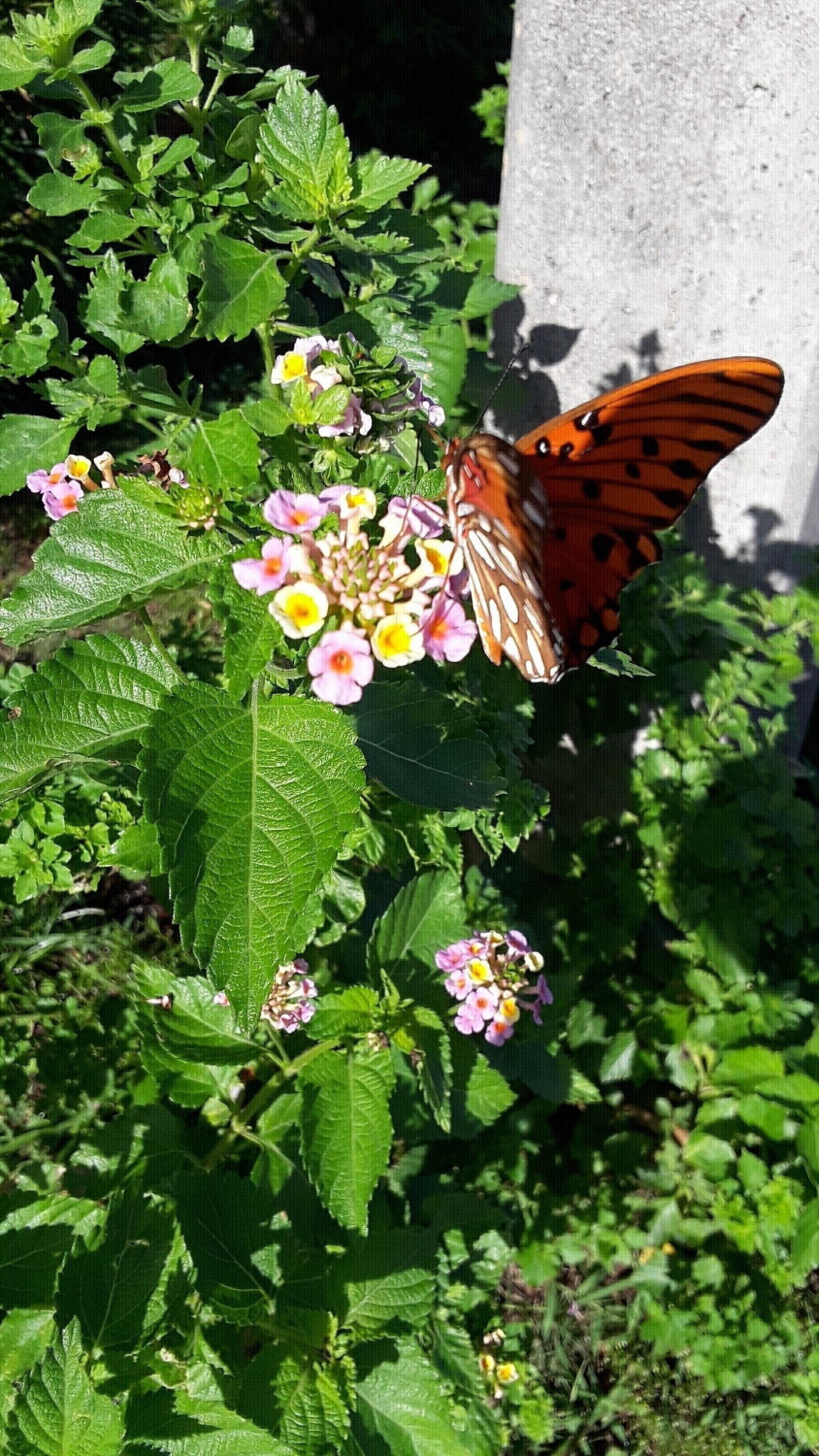 At Florida st port Richie