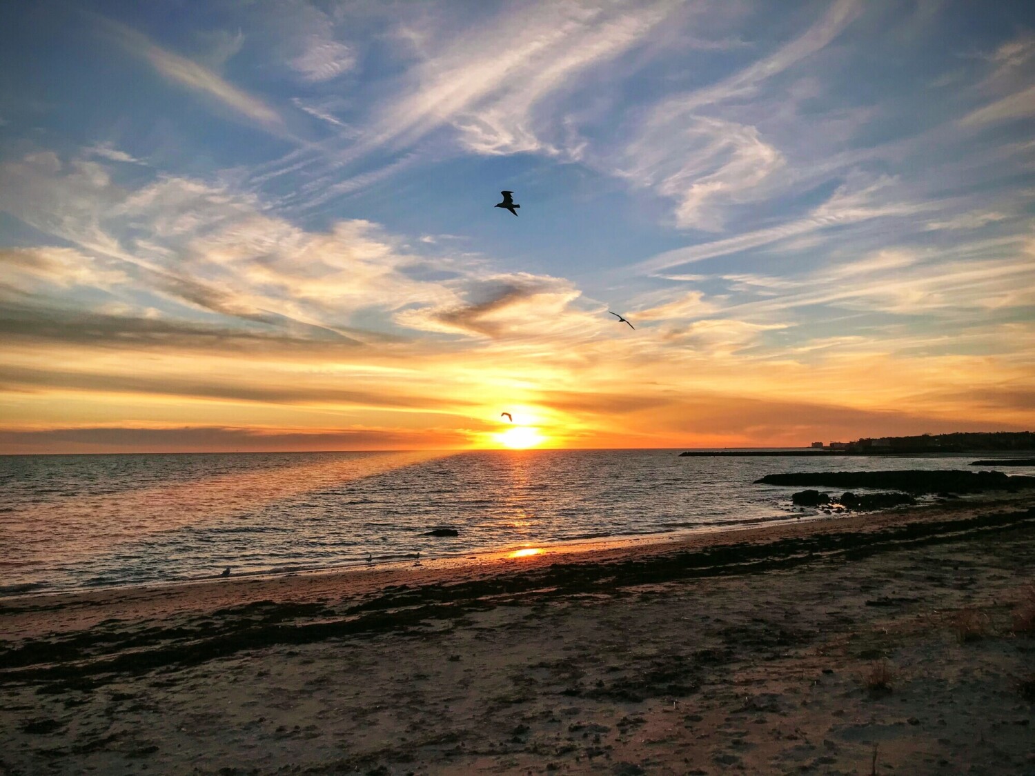 Where the world exhales