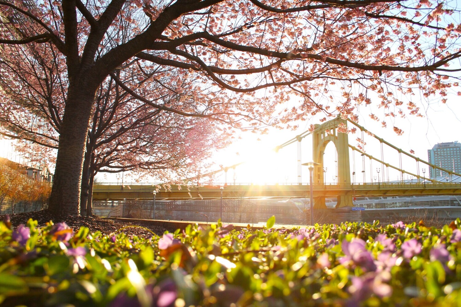 Spring In Pittsburgh Competition Page | Spring Mornings in the Steel City | Anthony Keane ...