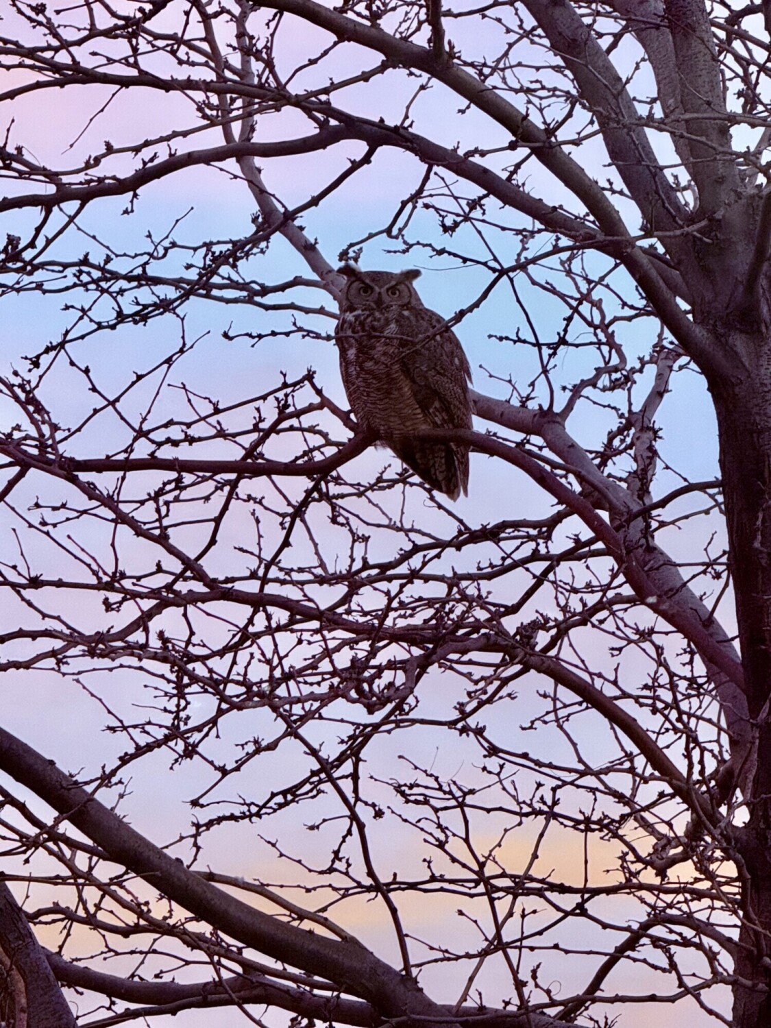 Eyes in the quiet sky!