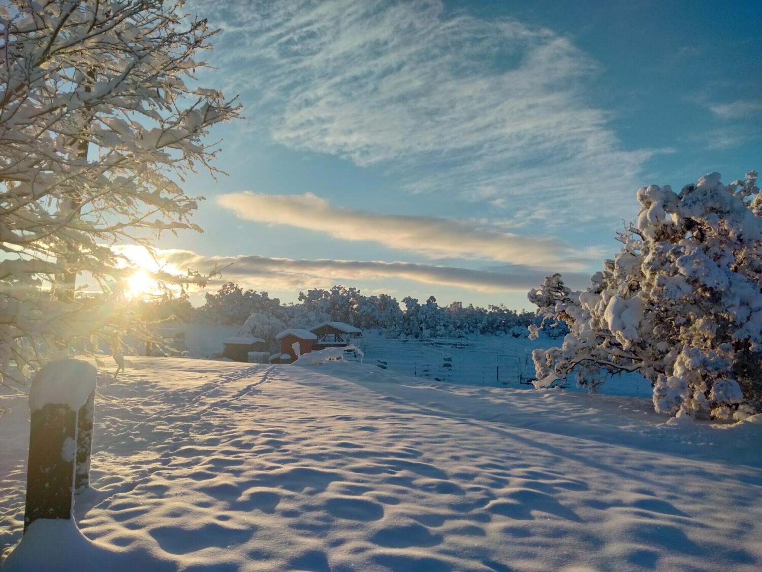 Frozen valley