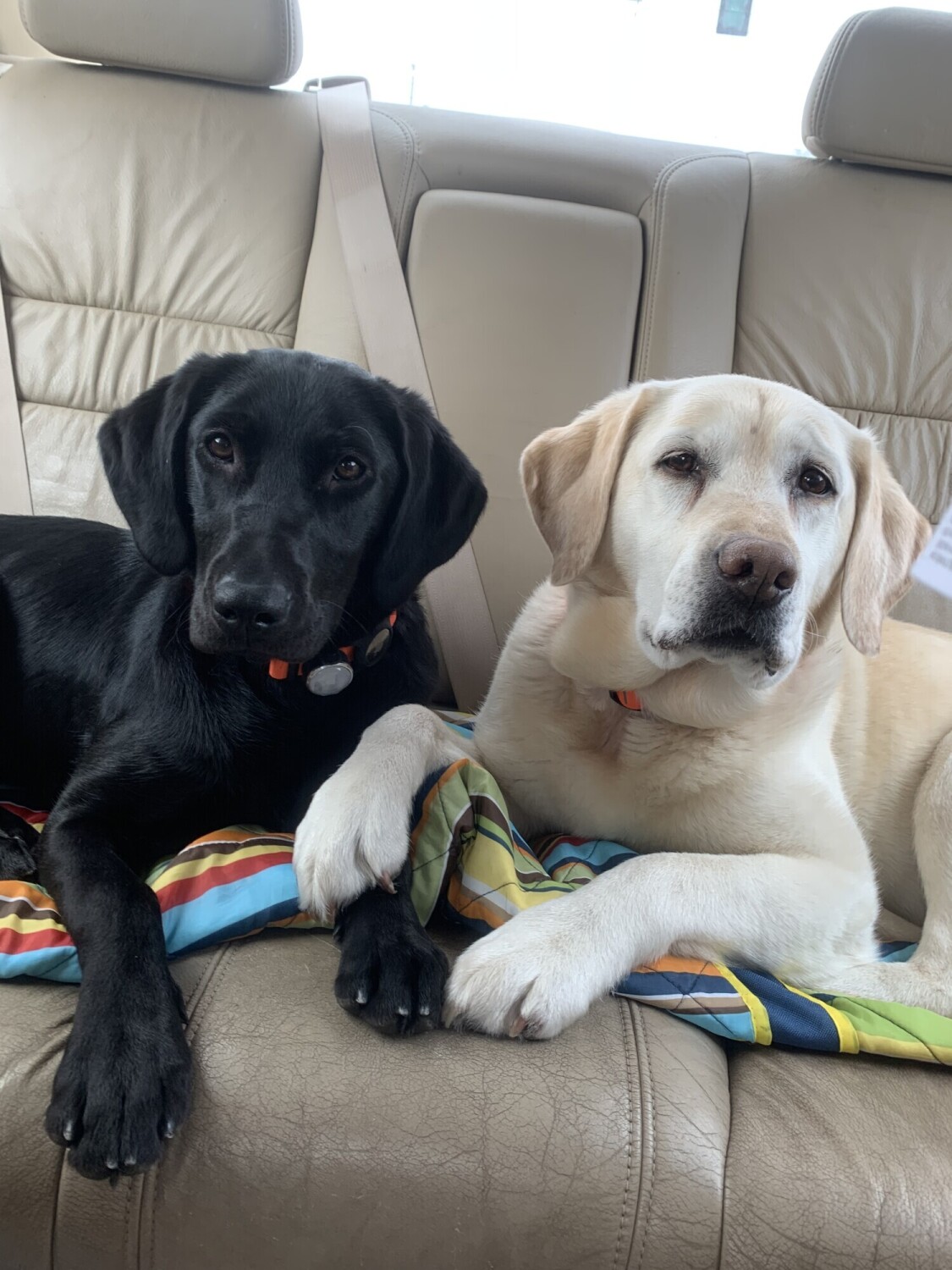 Betty & Lola