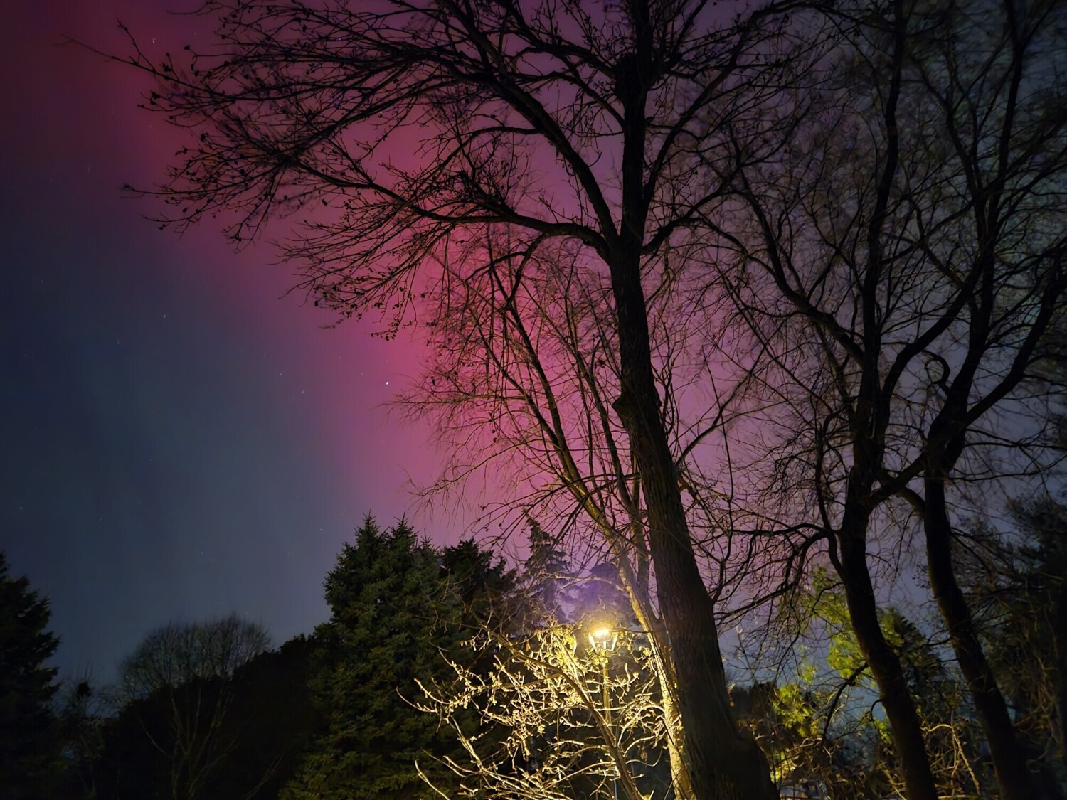 Northern lights